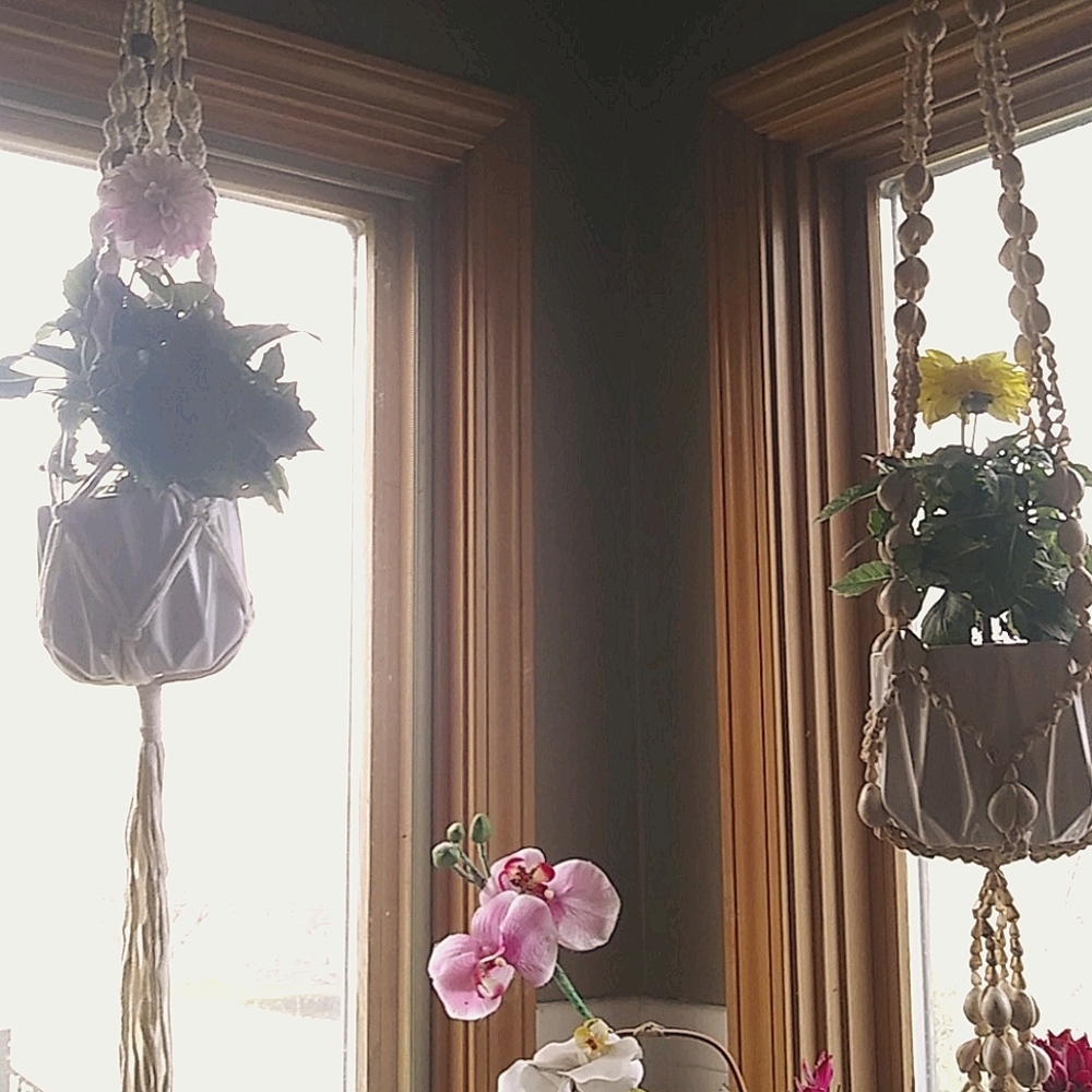 Meet your Posher, Rylee